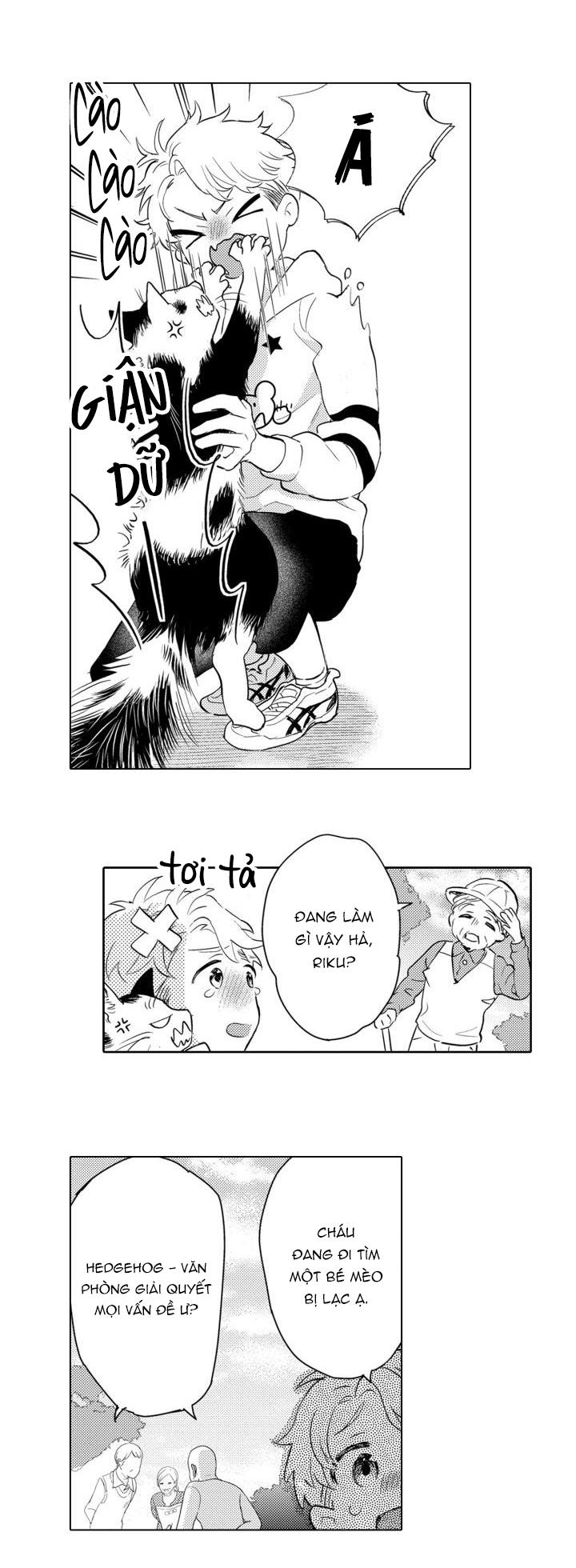 hiyoko-chan to harinezumi-kun chapter 1 11