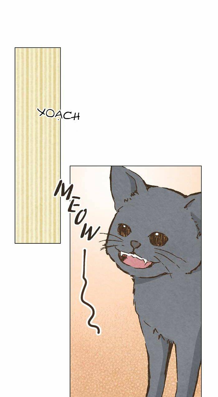 marry me! chapter 73 29