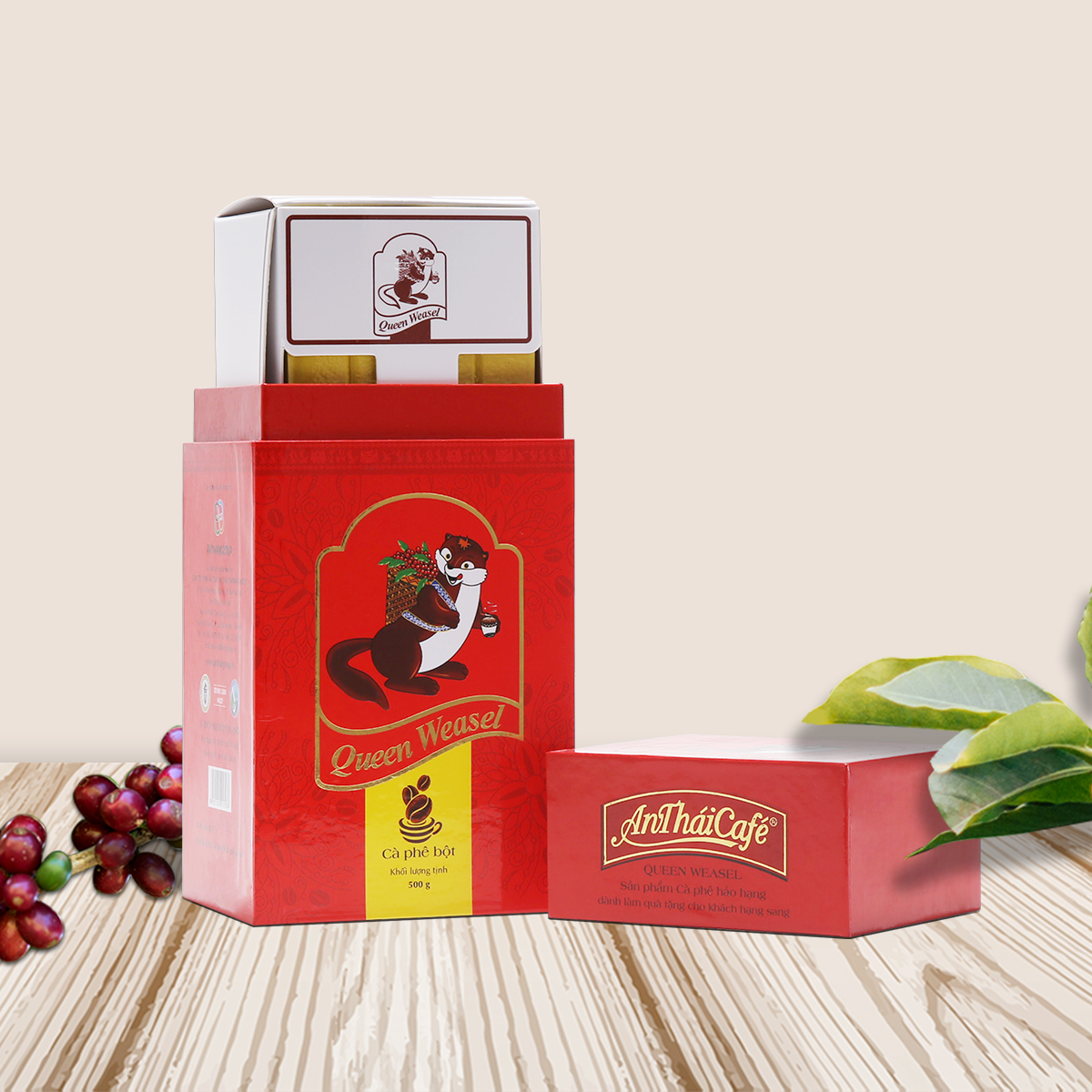 Cà phê pha phin - AnThái Café Queen Weasel - Hộp 500g - Nguyên chất, đậm đà