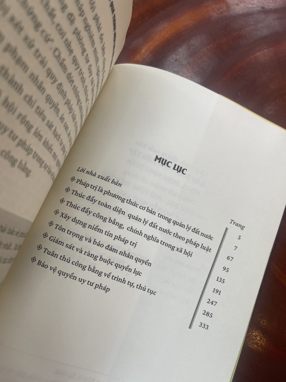 LÔGÍCH PHÁP TRỊ TRONG QUÁ TRÌNH HIỆN ĐẠI HÓA QUẢN LÝ ĐẤT NƯỚC - Vương Tĩnh - Vũ Thị Thìn dịch - Nxb Chính trị Quốc gia Sự thật – bìa mềm