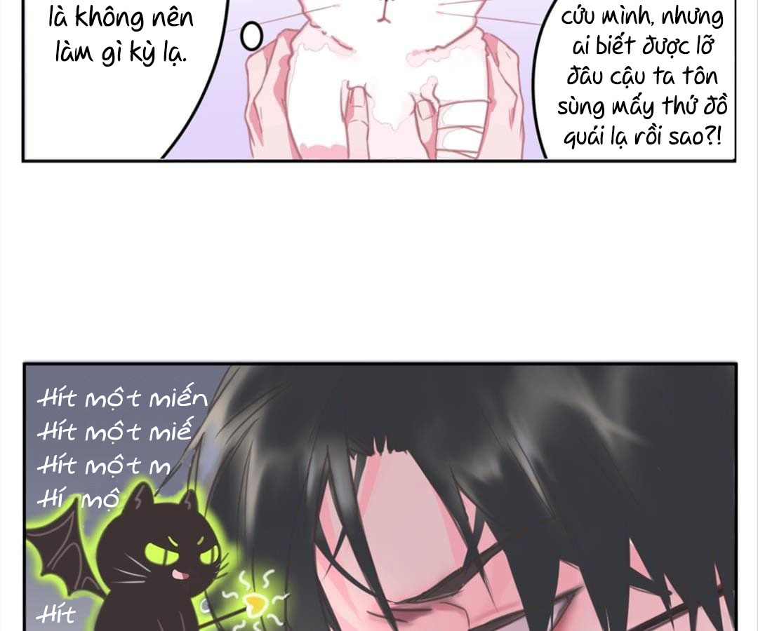 social cat chapter 1 58