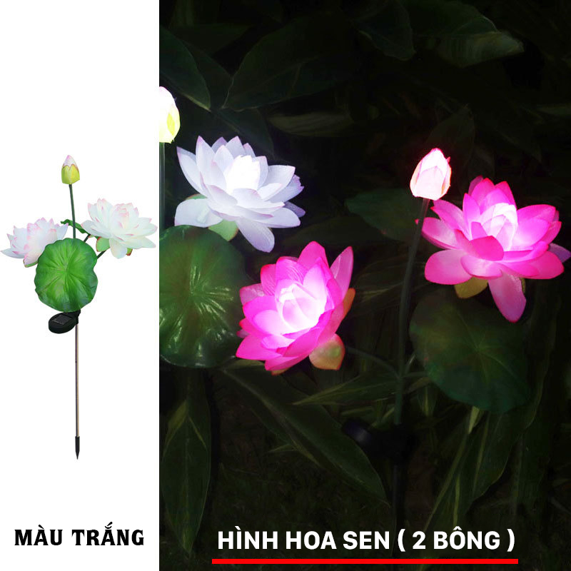 Đèn trang trí năng lượng mặt trời hoa sen, tích kiệm điện, bóng siêu sáng, chống thấm nước - DA3150