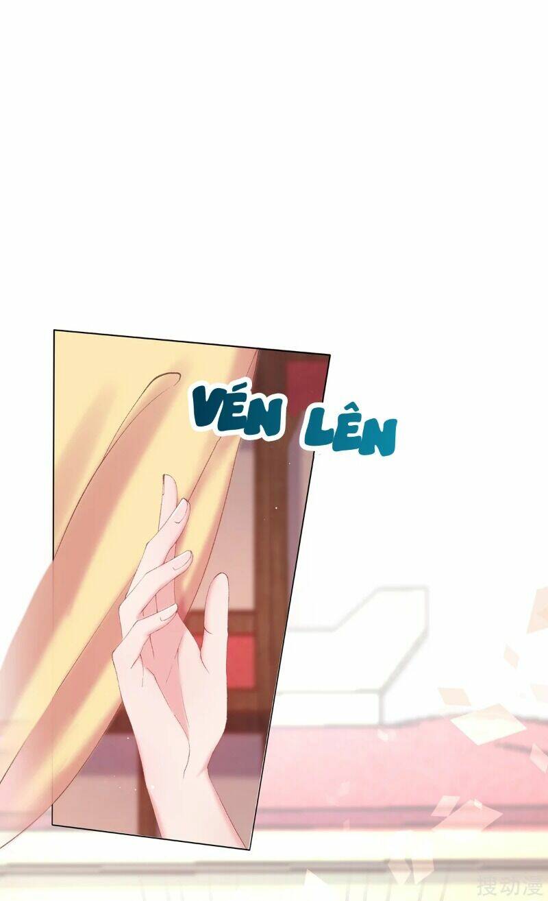 thị huyết y phi chapter 69 19
