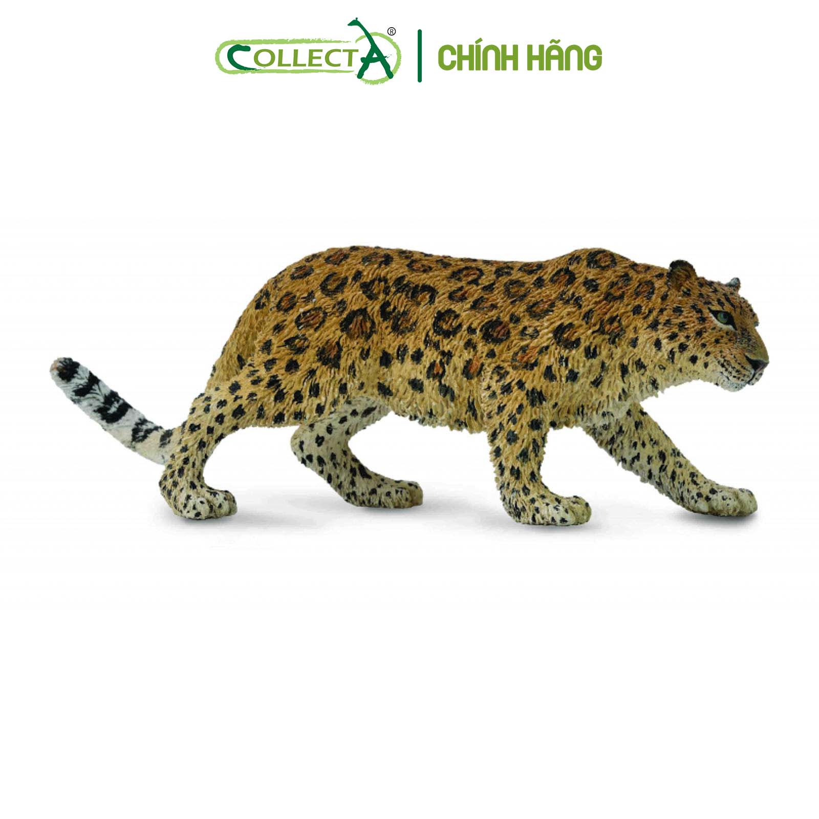 Mô hình thu nhỏ: Báo Hoa Mai - Amur Leopard , hiệu: CollectA, mã HS 9651190[88708] -  Chất liệu an toàn cho trẻ - Hàng chính hãng