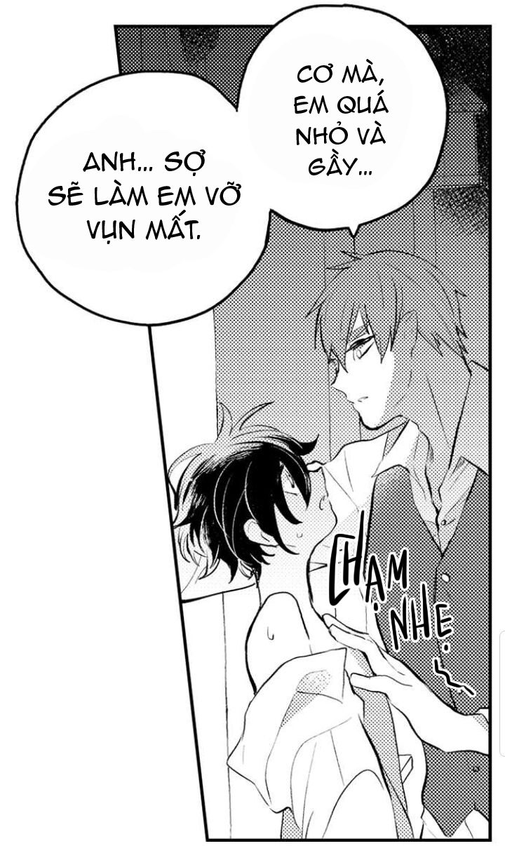 tiếng gọi của tình yêu sau trải nghiệm cận tử chapter 11 11