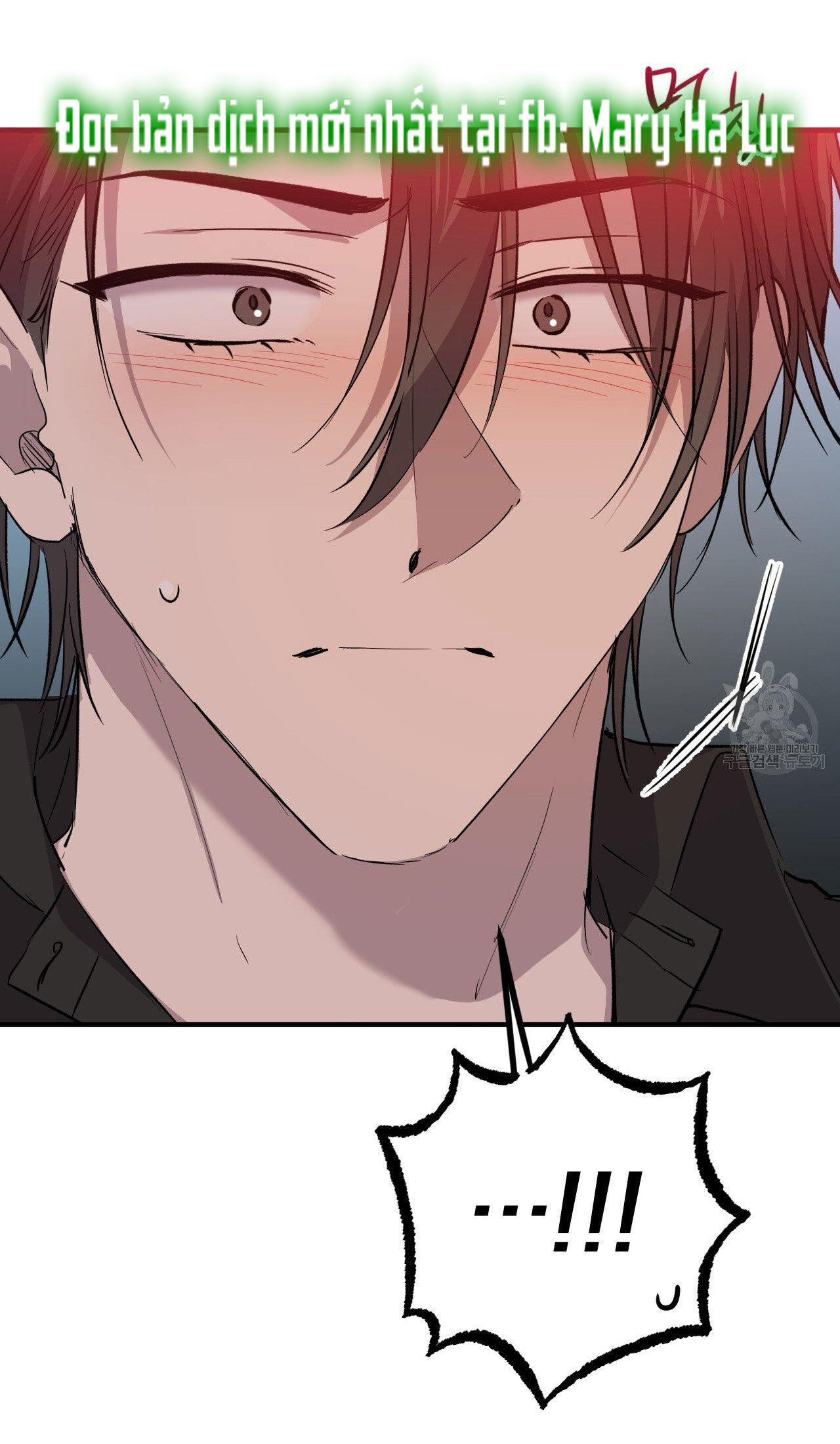 những chú thỏ của hapypy chapter 57.2 37