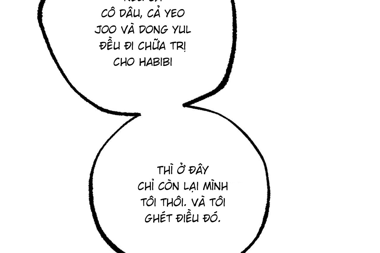 những chú thỏ của hapypy chapter 61 68