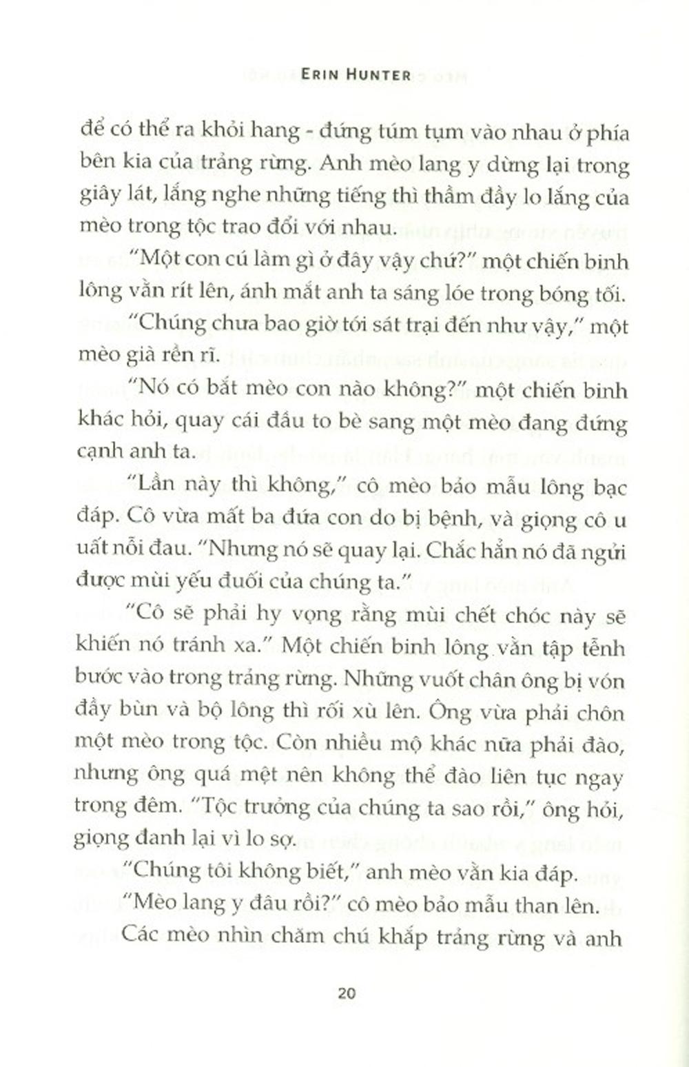 Sách Mèo Chiến Binh - Bão Nổi