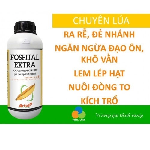 Phân bón FOSFITAL EXTRA 2 trong 1 chuyên dùng cho lúa phòng ngừa đạo ôn lá, lem lép hạt, ra rễ, nở bụi, đòng to, kích trổ (chai 500 ml)