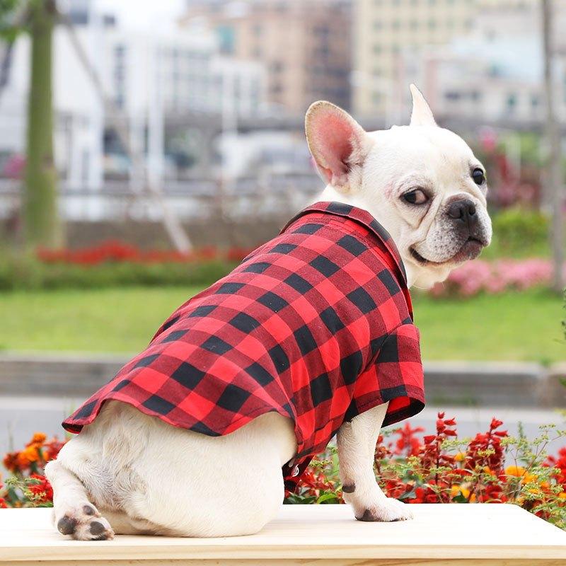 [Có Size 4XL] Áo sơ mi có nơ đi biển cho Chó Mèo , thời trang mùa hè dành cho cún cưng
