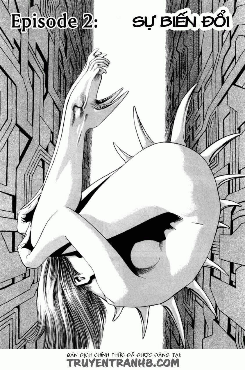 cambrian chapter 2 2