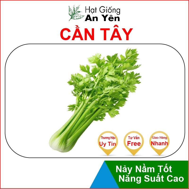 Hạt giống Cần Tây ngọt, nhanh thu hoạch, dễ trồng, nảy mầm và năng suất cao