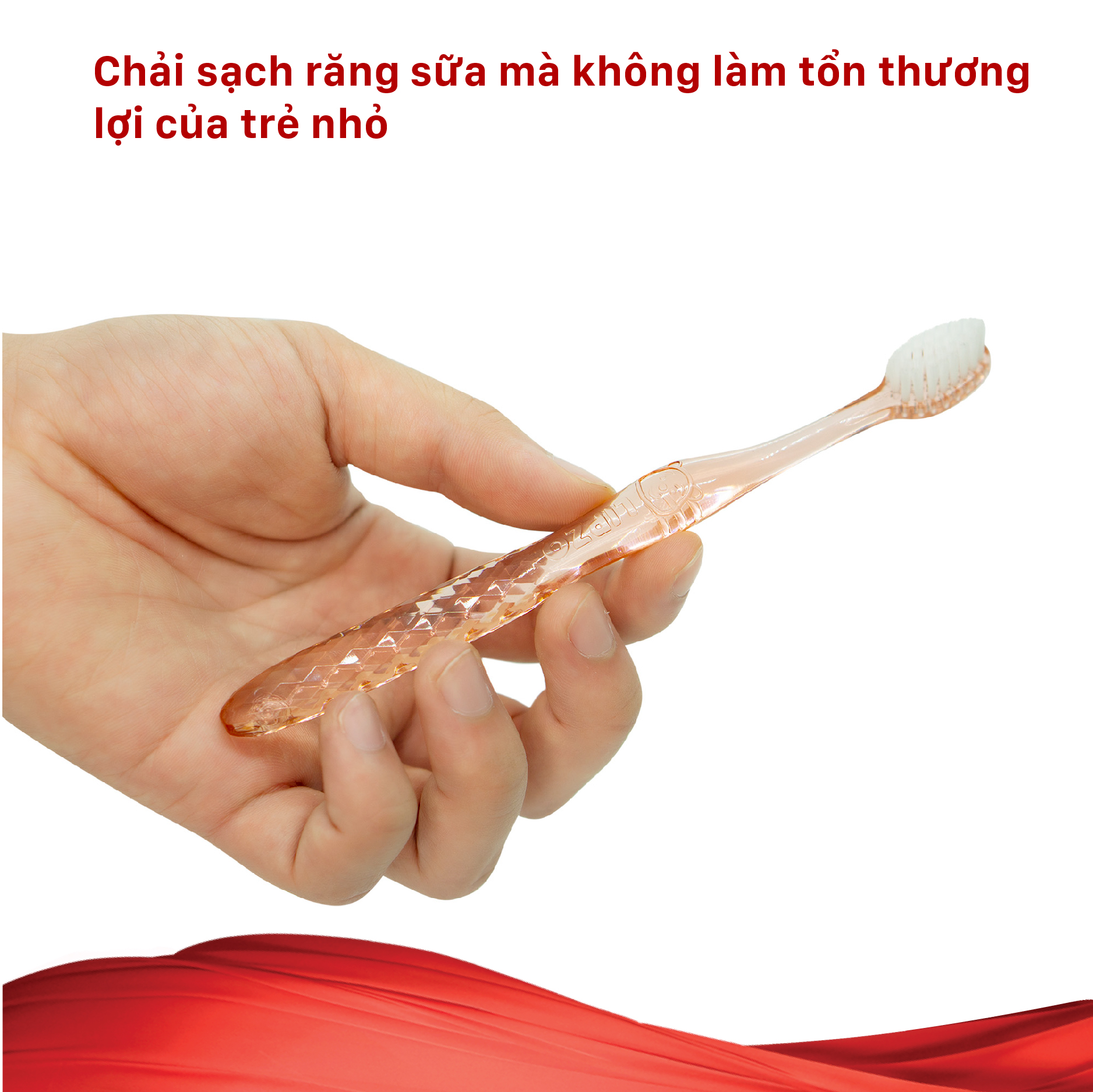 COMBO 3 BÀN CHẢI CRYSTAL LIPZO CHO GIA ĐÌNH