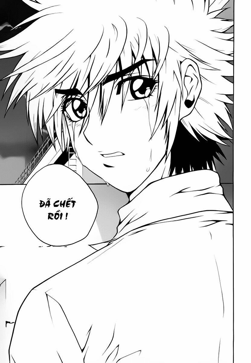 zippy ziggy chapter 56 11