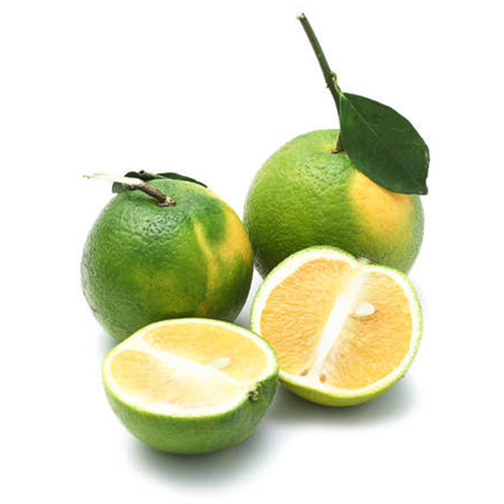 Cam xoàn 1kg