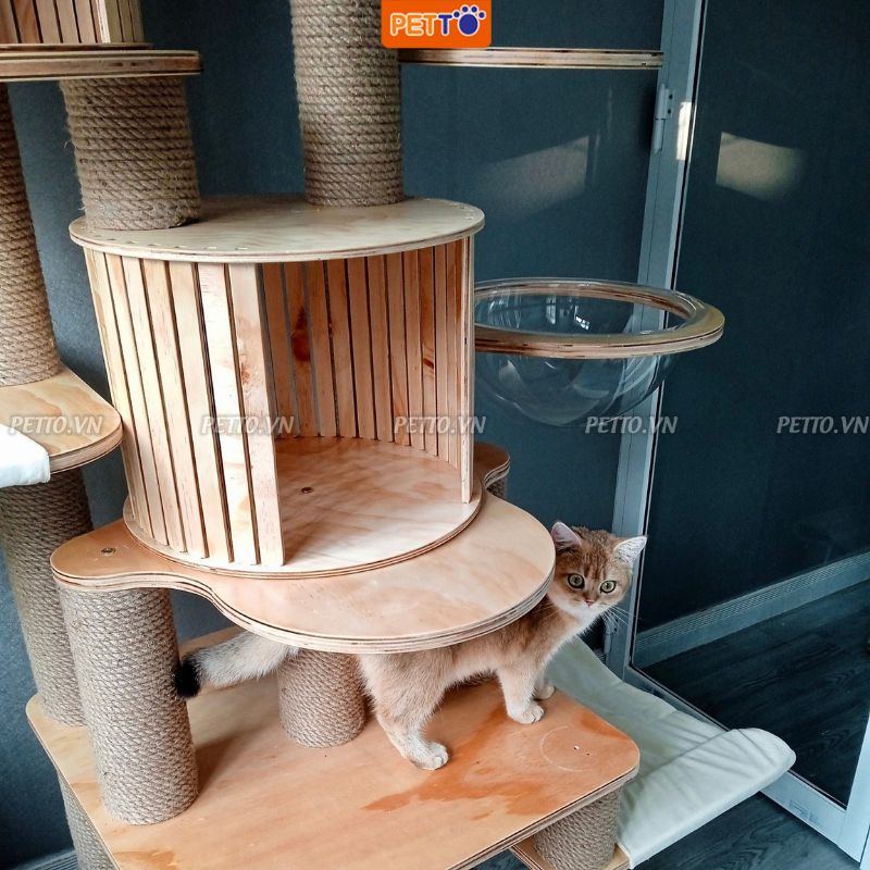 Nhà cây cho mèo -  nhà mèo bằng gỗ độc đáo nhiều ĐỒ CHƠI CAO 185CM mèo thỏa thích vui chơi leo trèo CBCH035