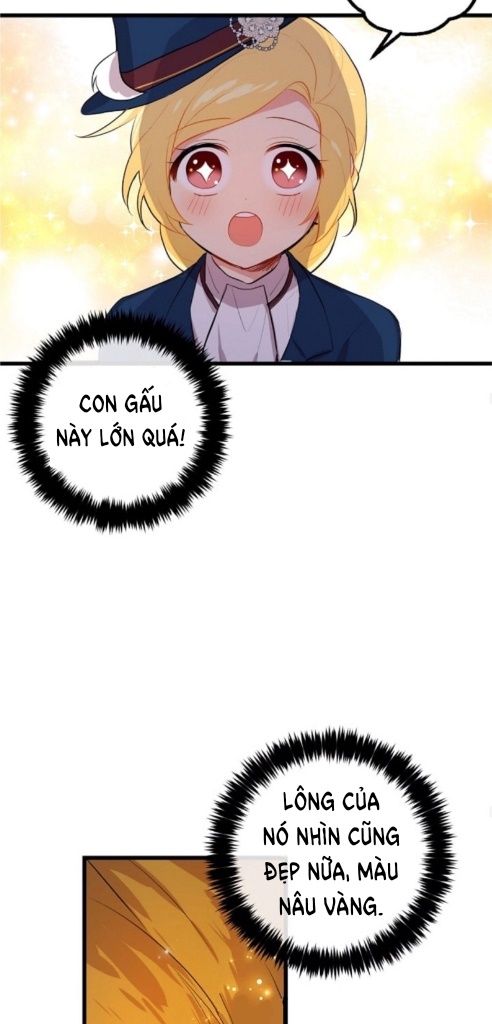 tôi là tiểu thư của gia đình này chapter 29 11