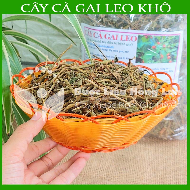 Cây Cà Gai Leo khô loại 1 đóng gói 500g