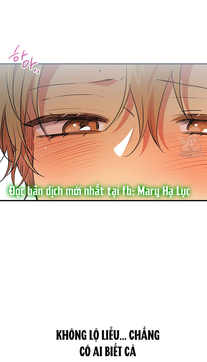 những chú thỏ của hapypy chapter 43 15