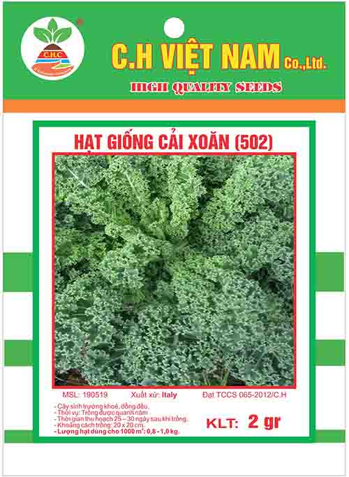 2 Gói Hạt Giống Rau Cải Chip Xanh & Hạt Giống Rau Cải Xoăn