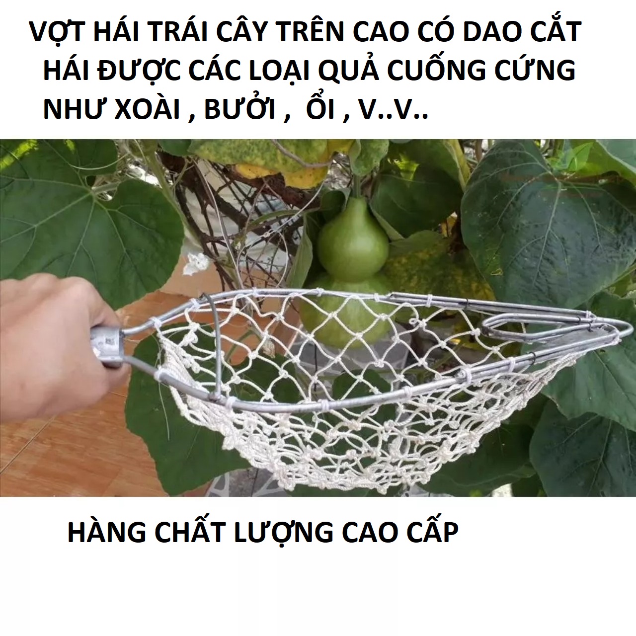Dụng cụ hái trái cây có lưỡi cắt cuốn trái giúp hái bơ , xoài , bưởi , hồng , mướp dễ dàng không bị dập loại tốt