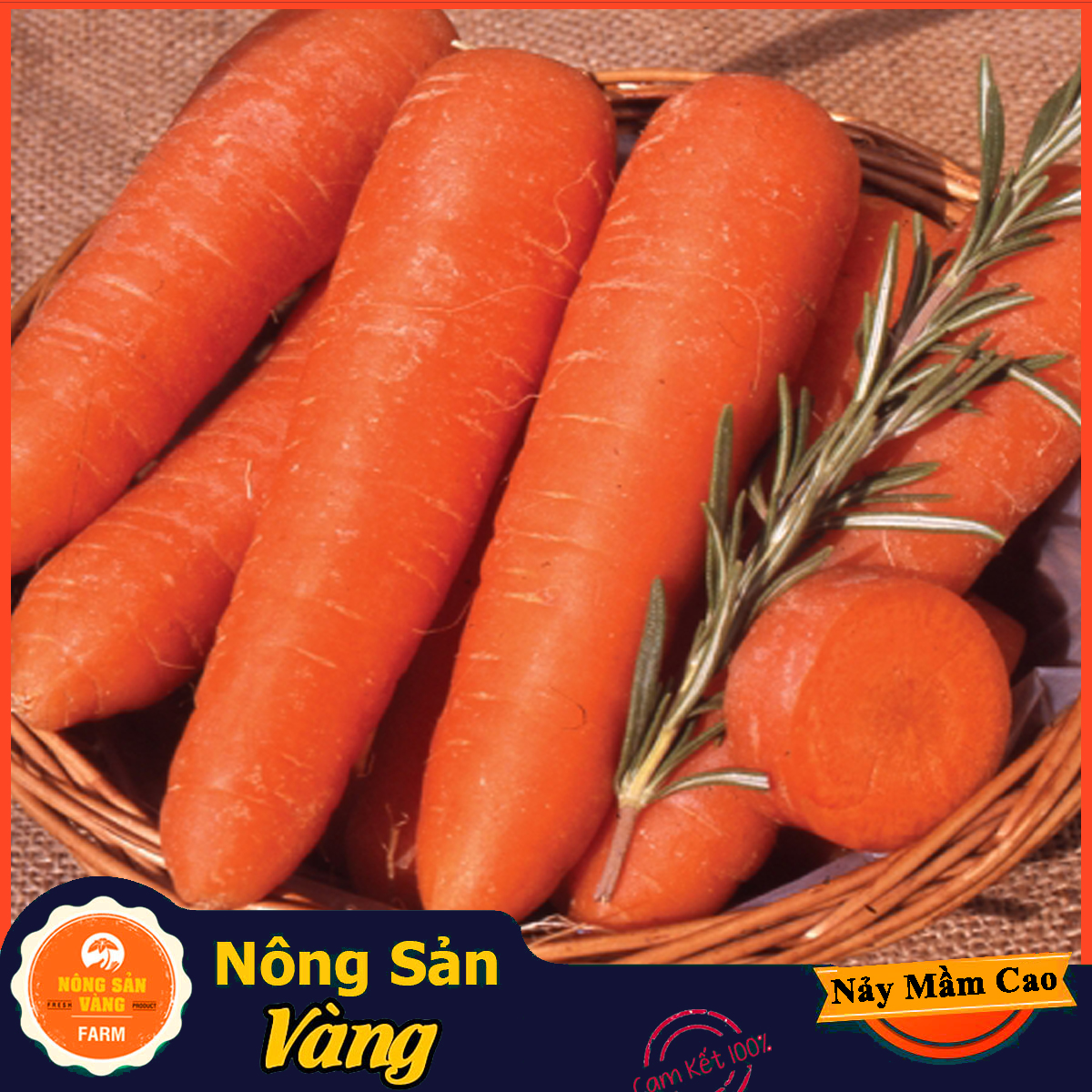 Hạt giống Cà Rốt Thường F1 - Nông Sản Vàng