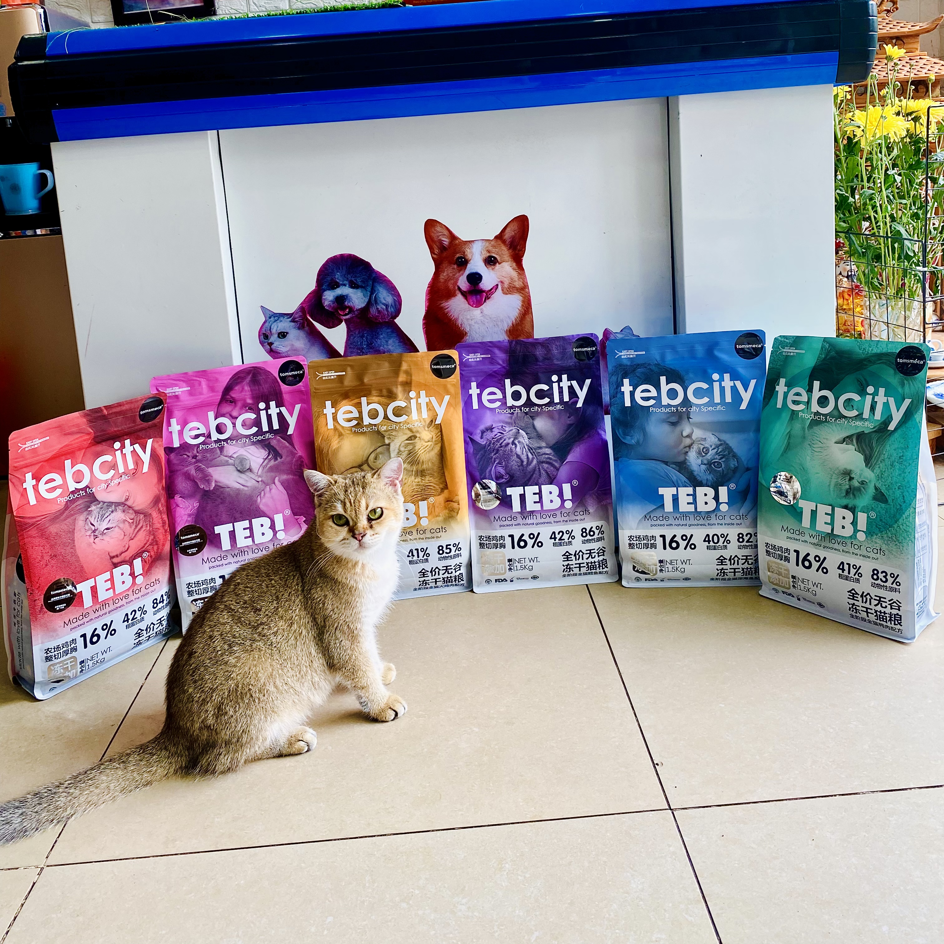 Hạt Mix Topping Cho Mèo Mọi Lứa Tuổi- không độn ngũ cốc