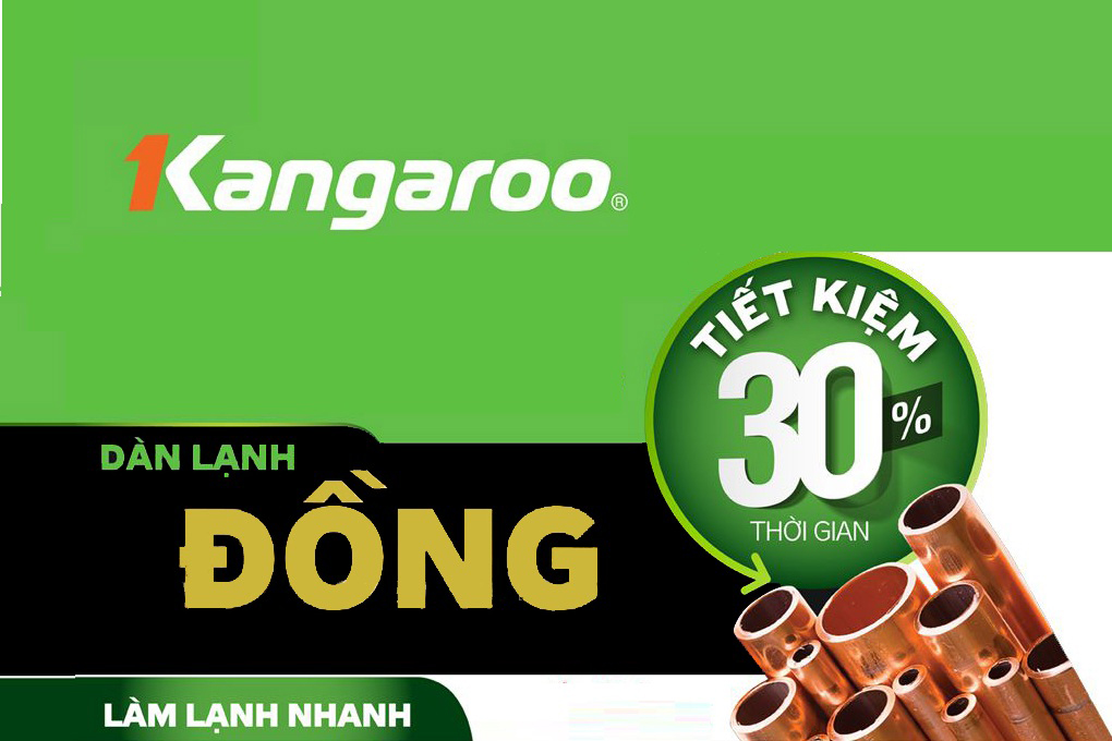 Tủ đông kháng khuẩn Kangaroo KG809C1 - Hàng chính hãng - Chỉ giao tại Hà Nội