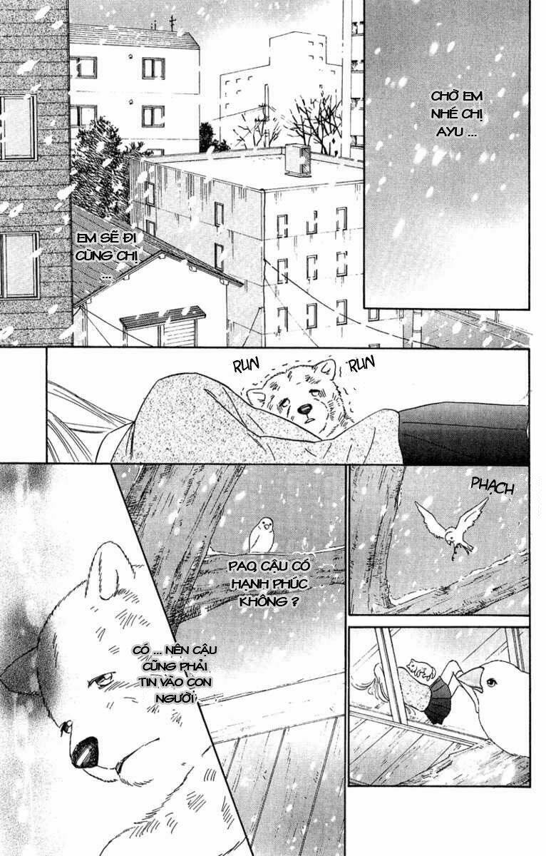 deep love - pao no monogatari chapter 11 33