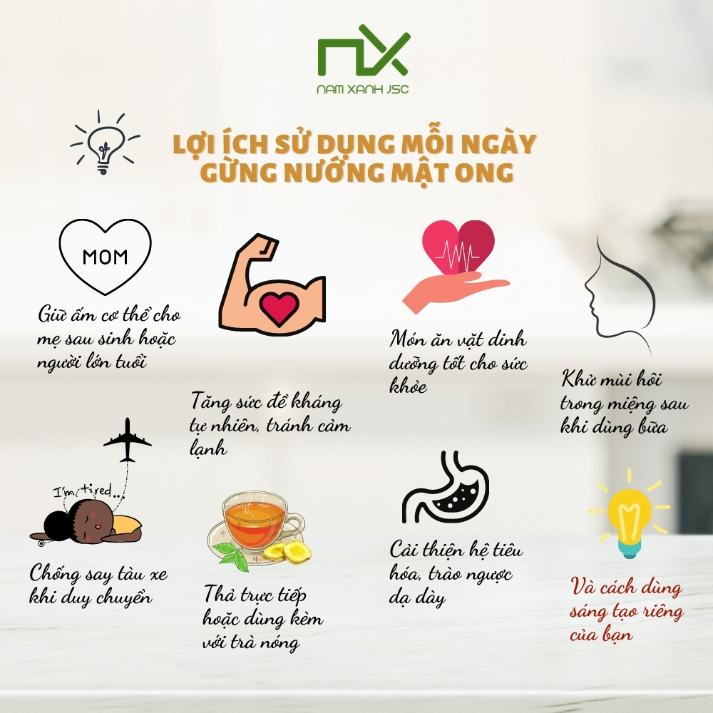 Combo 4 hộp gừng mật ong Nam Xanh