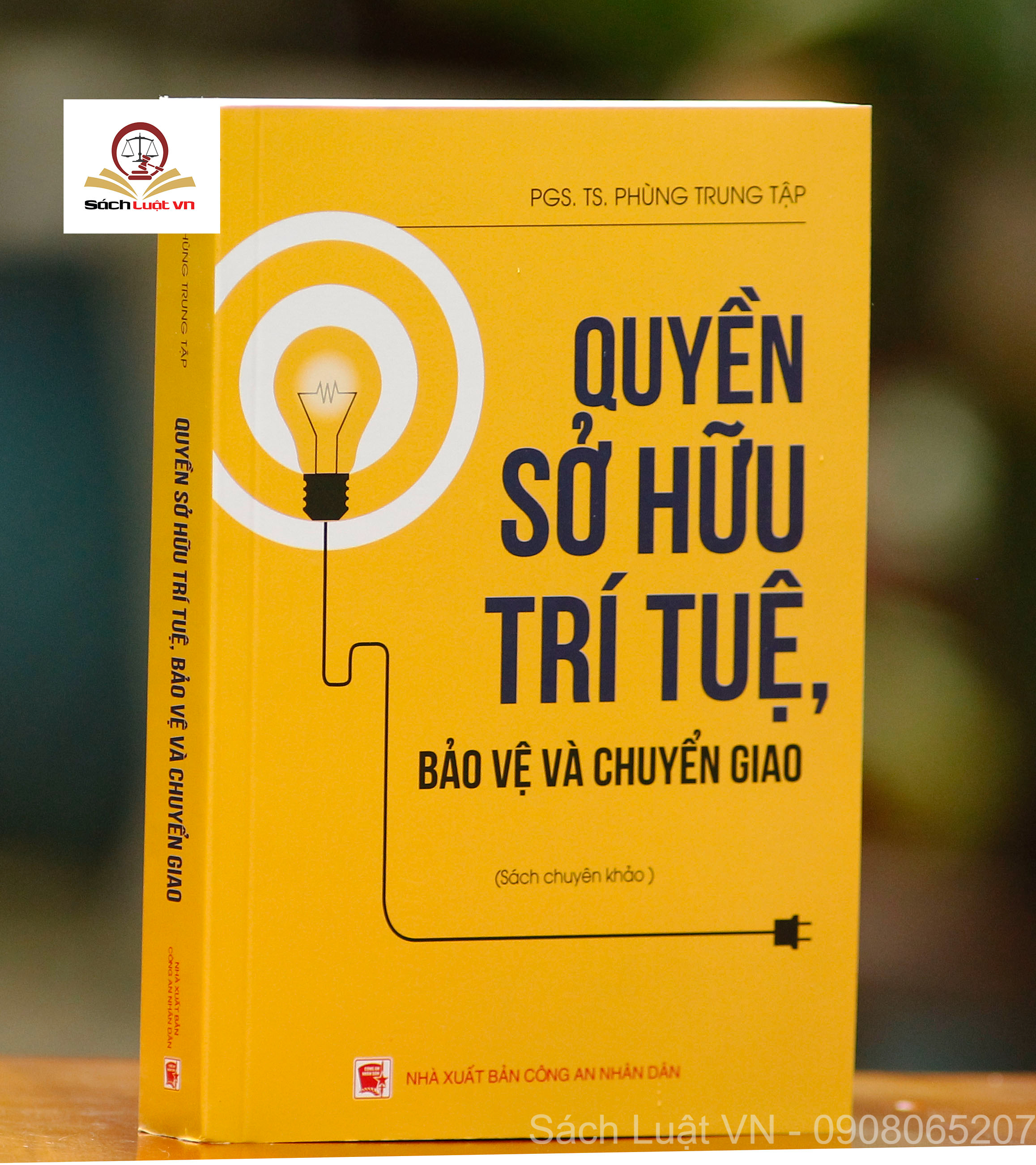 Quyền Sở Hữu Trí Tuệ, Bảo Vệ Và Chuyển Giao Sách Chuyên Khảo