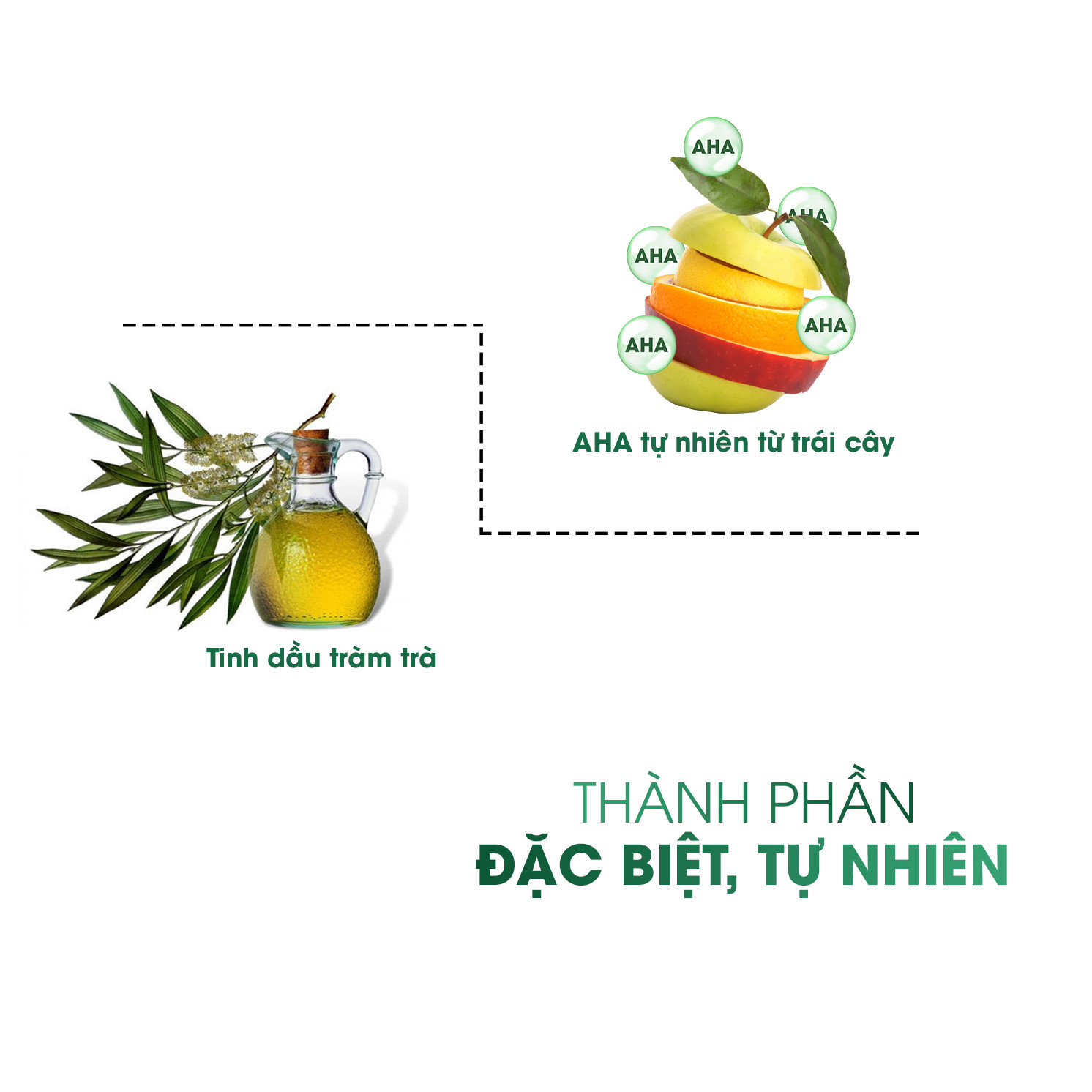 Sữa rửa mặt Ngừa Mụn Cenota AHA Detox 150ml Sạch Sâu Kiềm Dầu Lành Tính