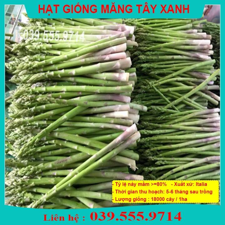 HẠT GIỐNG MĂNG TÂY XANH F1 - NĂNG SUẤT CAO