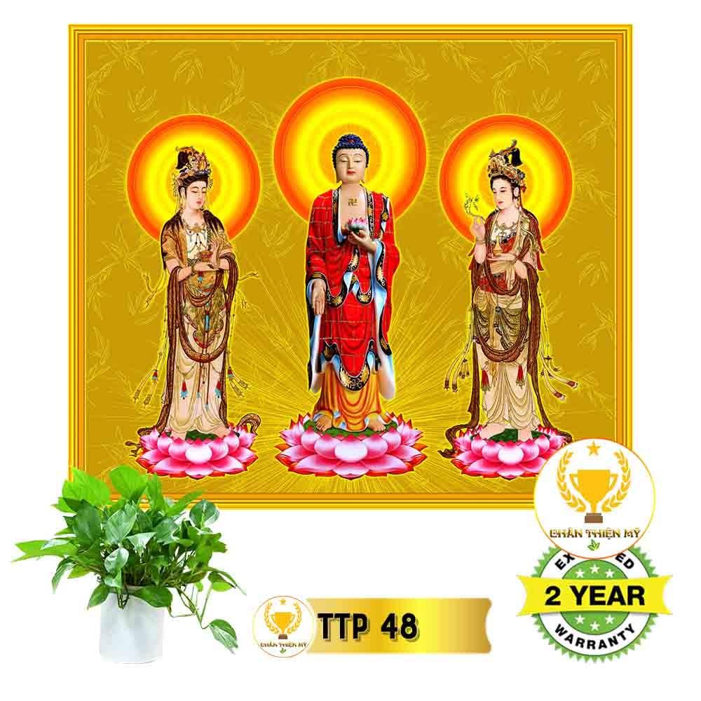 Tranh Tam Thế Phật có khung_TTPK5