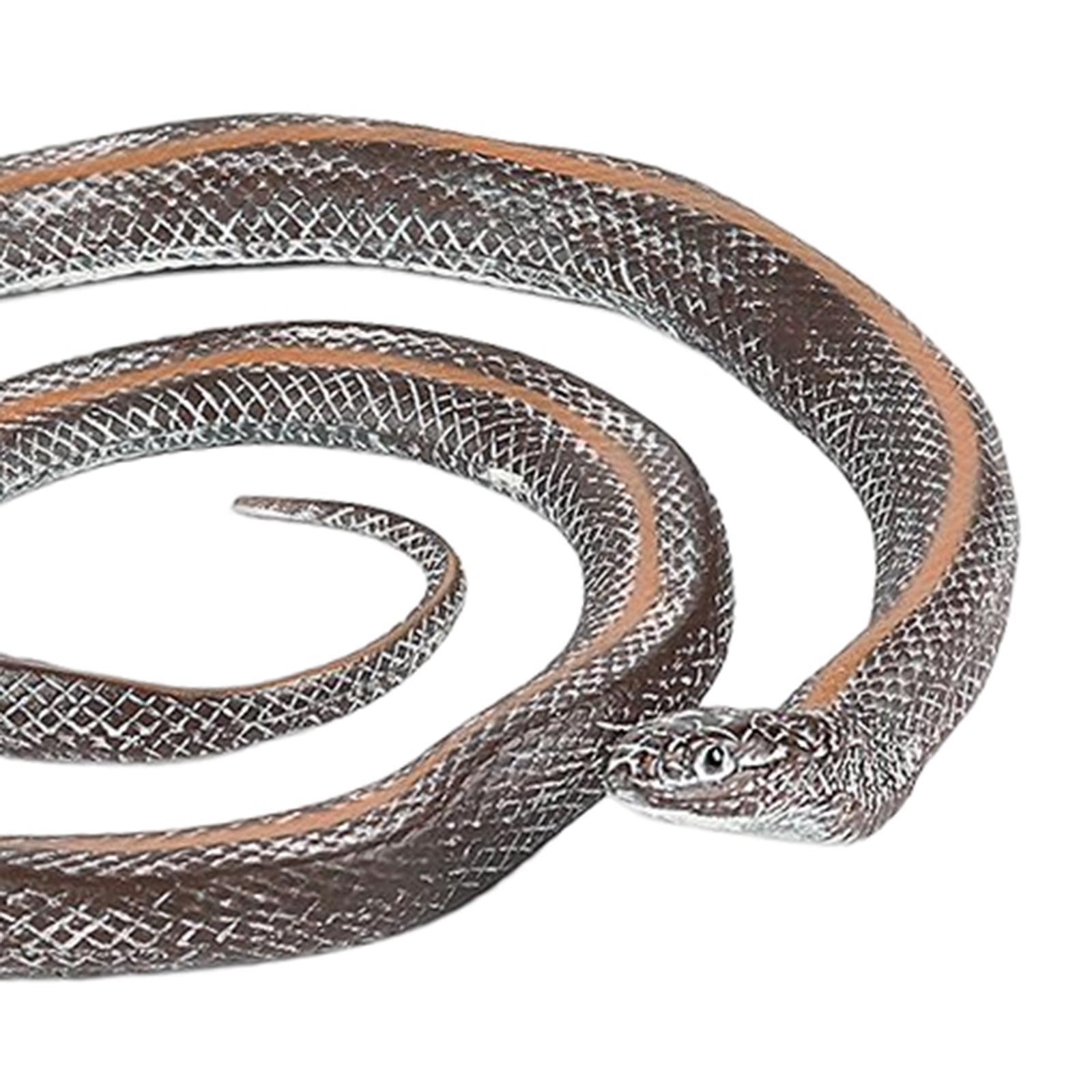 Simulation Fake  Photo Props Educational Durable Statue 17cm for Home