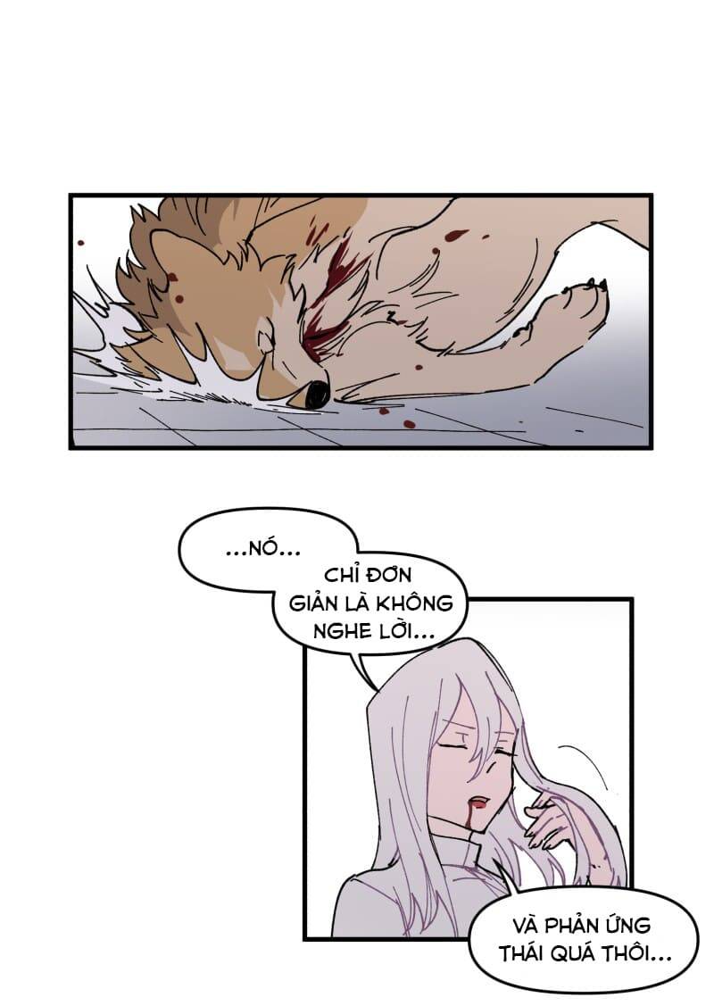 lumine - cội nguồn ánh sáng chapter 166 13