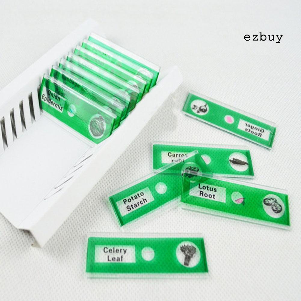 EY-12Pcs DIY Specimen Microscope Slides Children Biology Scientific Educational Toy