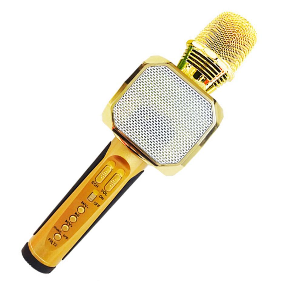 Mic karaoke SD-10