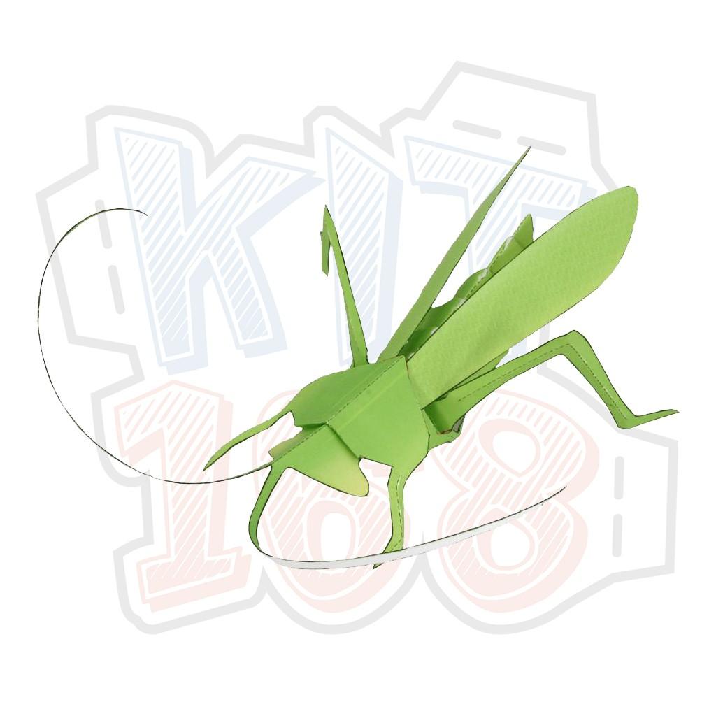 Mô hình giấy động vật côn trùng Mantis