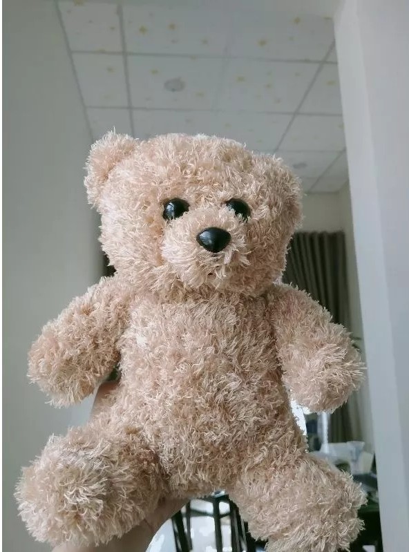 Gấu Teddy lông xù đáng yêu