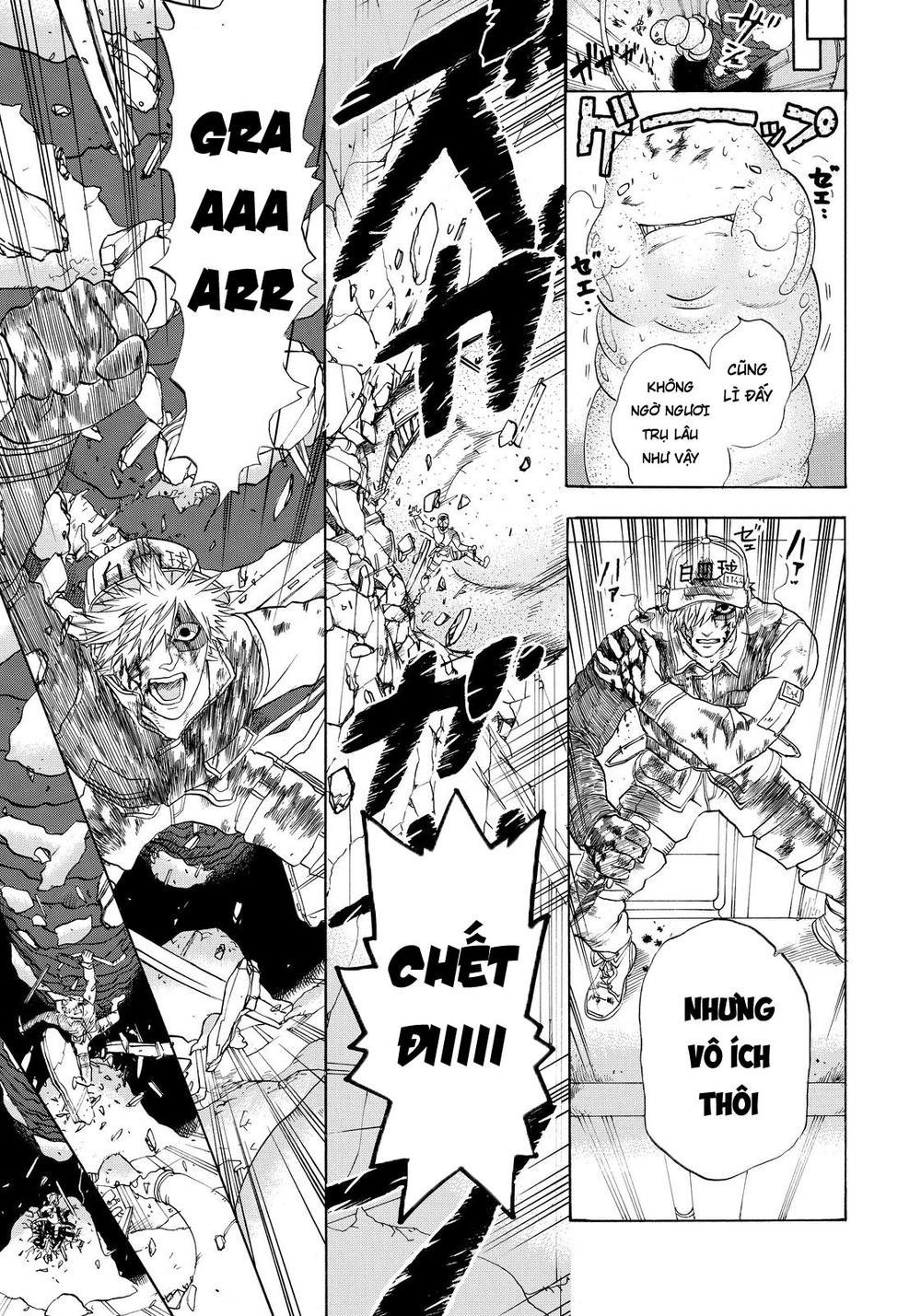 hataraku saibou! chapter 14 21