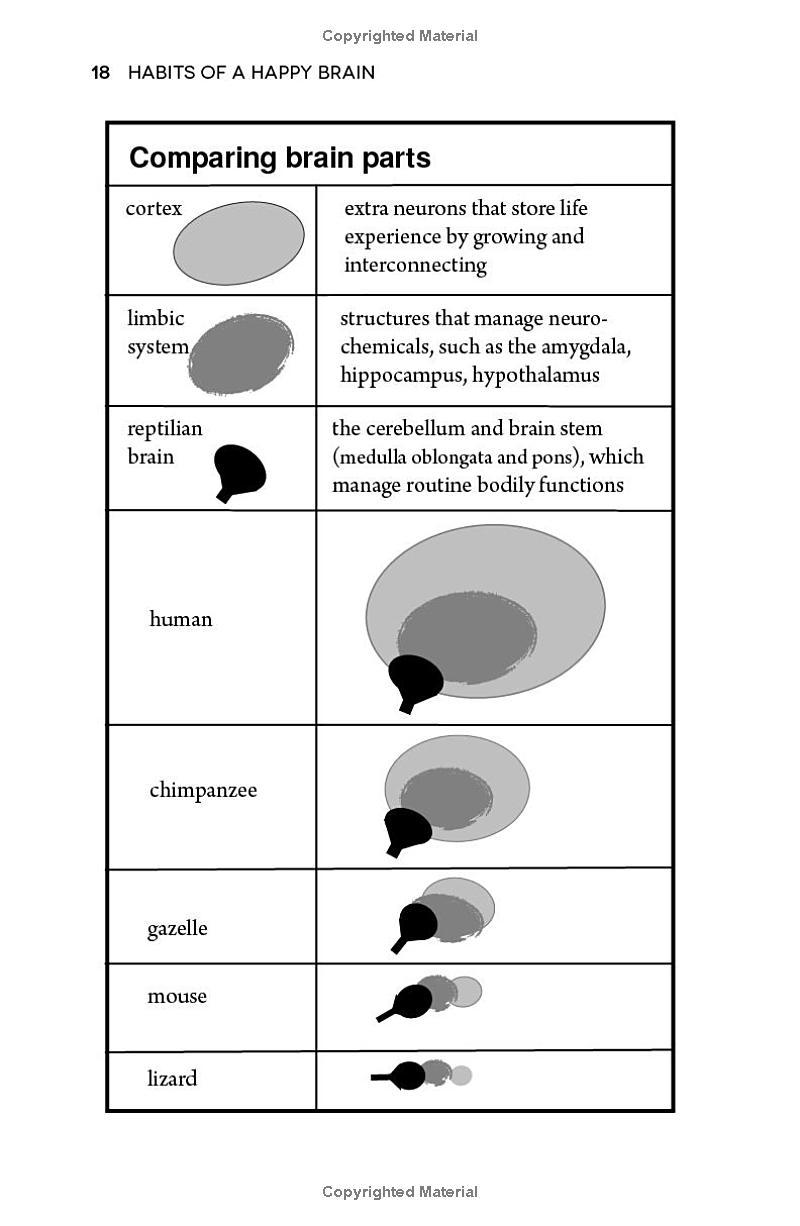 Sách ngoại văn: Habits Of A Happy Brain - Retrain Your Brain To Boost Your Serotonin, Dopamine, Oxytocin And Endorphin Levels