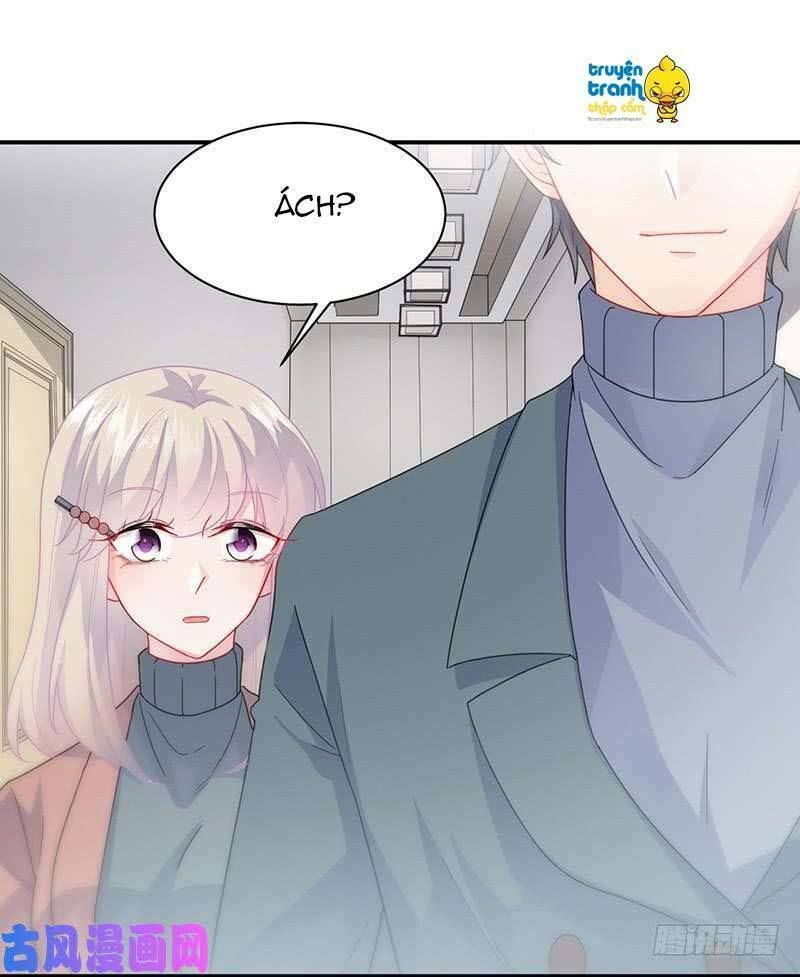 chọc tới chủ tịch tổng tài 2 chapter 102 26