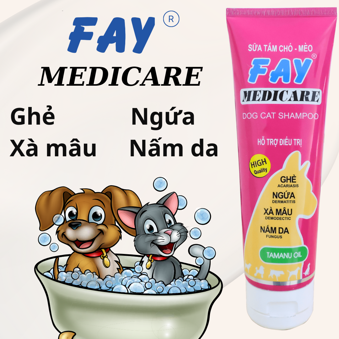 Sữa Tắm Fay Medicare 285ml