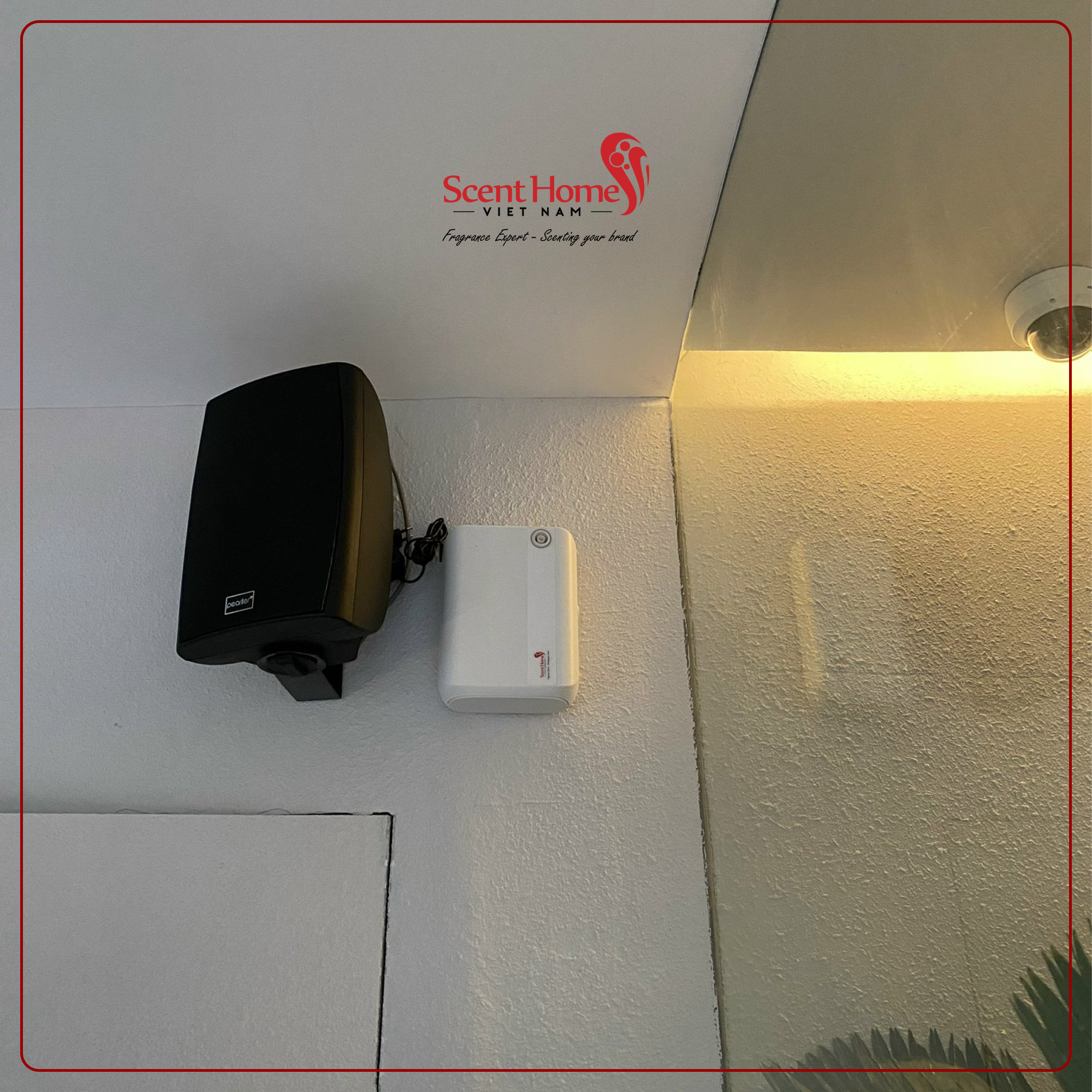 Máy tạo hương thơm cao cấp Scent Homes