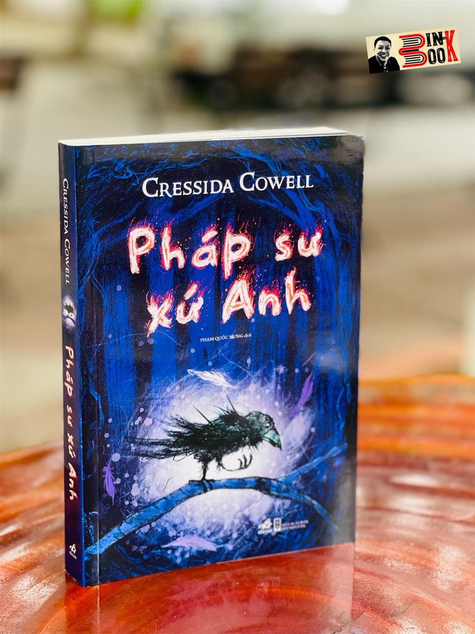 (Tác giả Bí kíp luyện rồng – Tranh minh hoạ) PHÁP SƯ XỨ ANH – Cressida Cowell - Nhã Nam – NXB Hội Nhà Văn (bìa mềm)