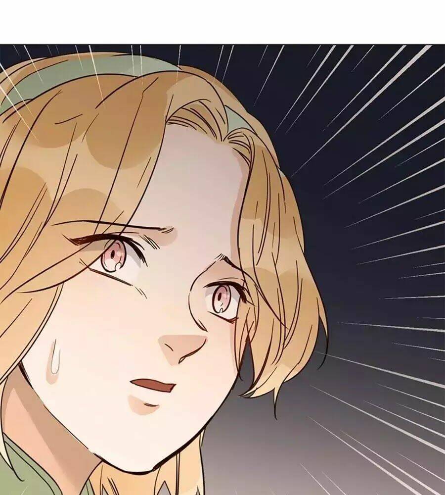 ngôi sao vụn vỡ chapter 28.5 103