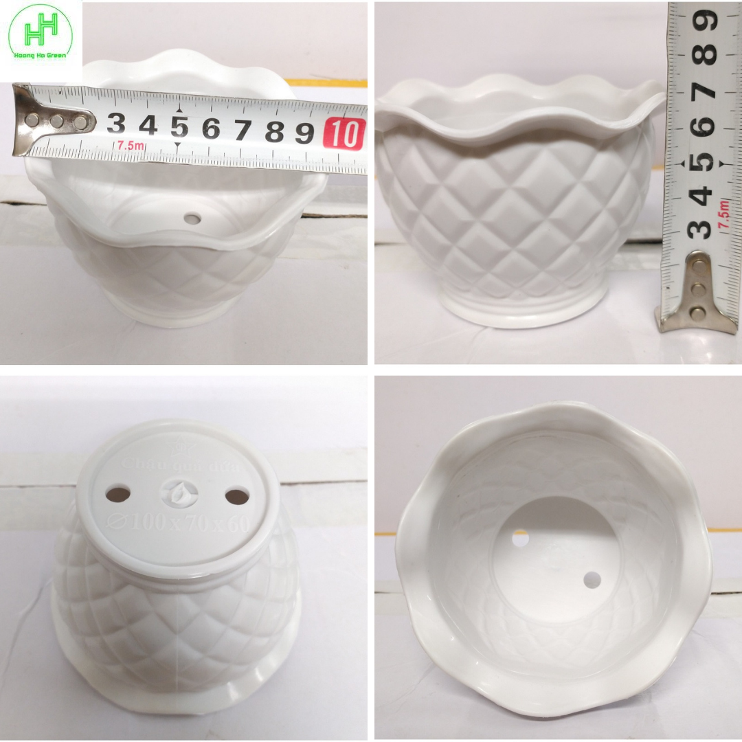 Combo 3 Chậu quả Dứa + 3 Chậu Lục giác Sen đá , trồng cây mini, xương rồng, cây để bàn, sen đá
