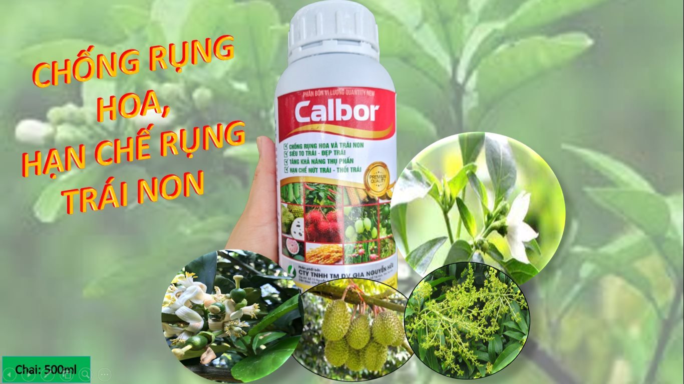 Phân bón lá CANXIBO chai 500ML - HẠN CHẾ RỤNG HOA, TRÁI NON, DƯỠNG HOA, DƯỠNG TRÁI CHỐNG NỨT/THỐI TRÁI