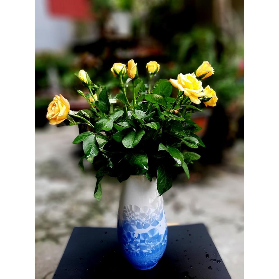 BÌNH CẮM HOA SIZE LỚN ,MEN KẾT TINH XANH